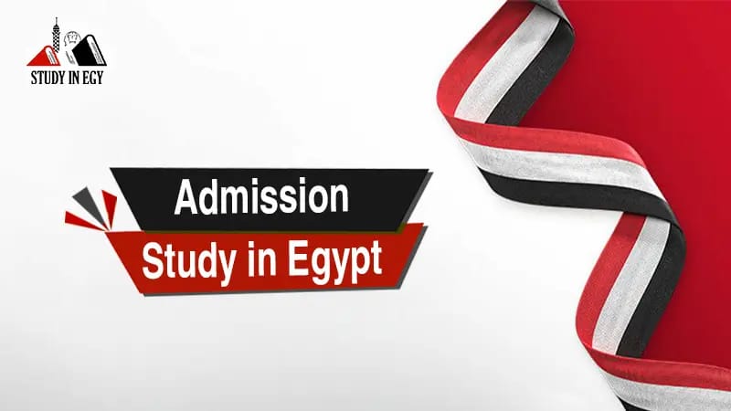 Egypt Government Scholarship